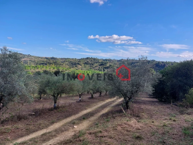 Terreno para Venda em Chancelaria Foto 2