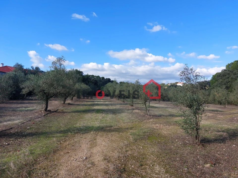 Terreno para Venda em Chancelaria Foto 1