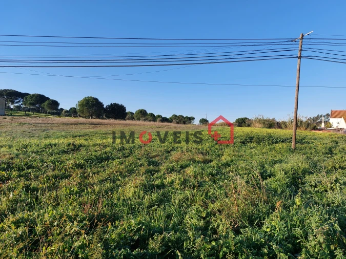 Terreno para Venda em Aveiras de Cima Foto 13