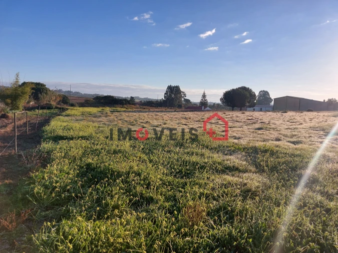 Terreno para Venda em Aveiras de Cima Foto 3