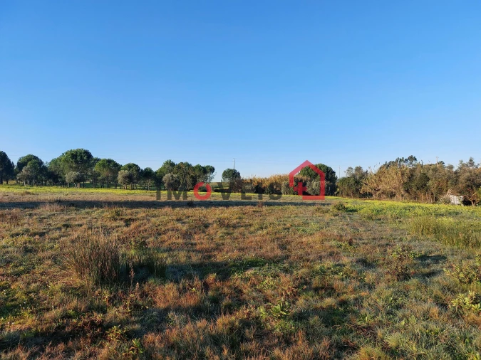 Terreno para Venda em Aveiras de Cima Foto 12