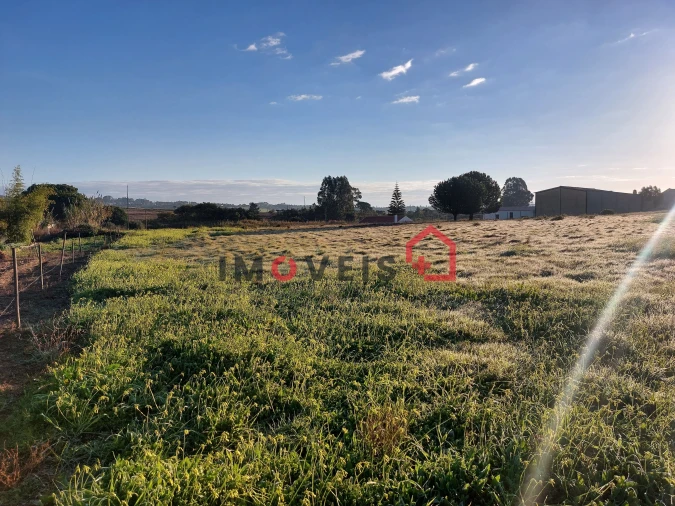 Terreno para Venda em Aveiras de Cima Foto 4