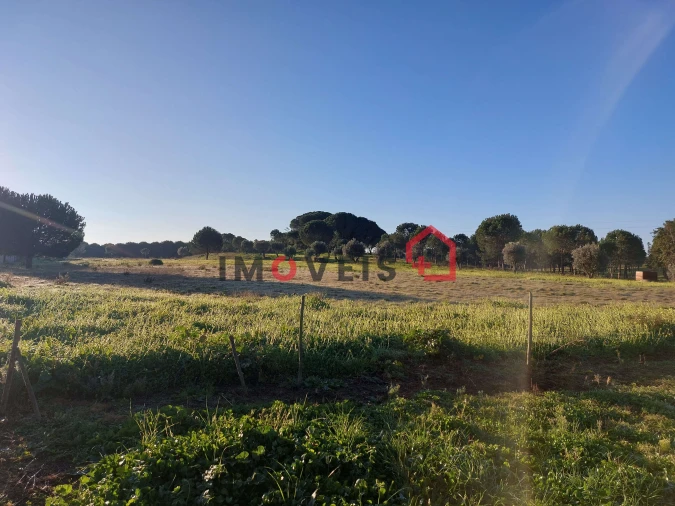 Terreno para Venda em Aveiras de Cima Foto 6