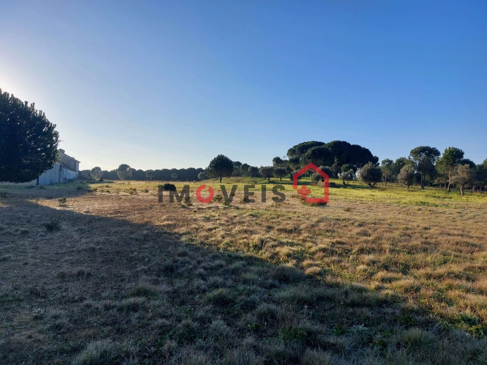 Terreno para Venda em Aveiras de Cima Foto 7