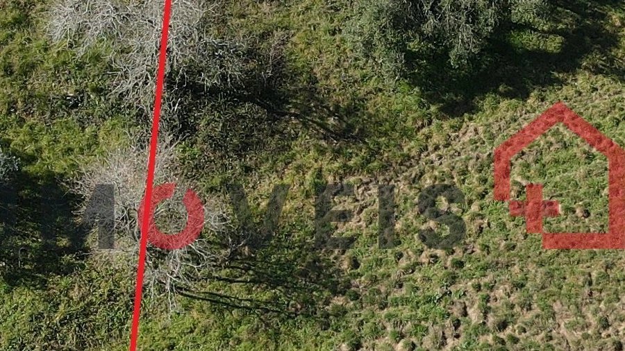 Terreno para Venda em São Mamede