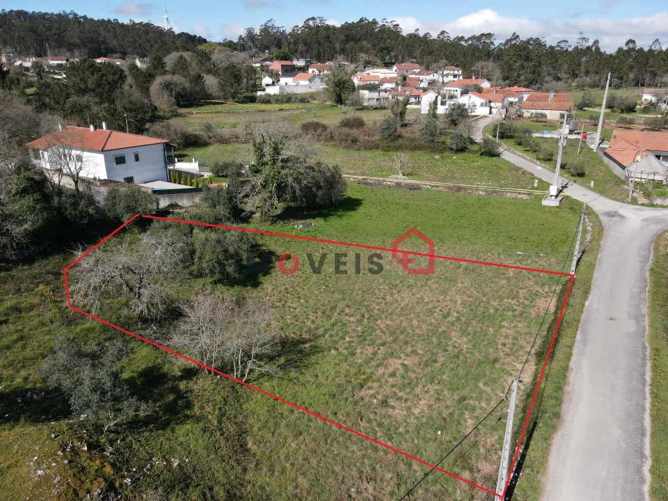 Terreno para Venda em São Mamede Foto 3