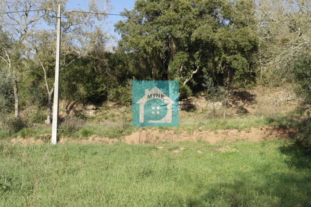 Terreno para Venda em Santa Catarina Foto 5