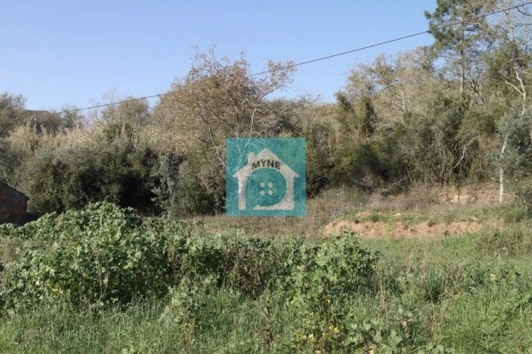Terreno para Venda em Santa Catarina Foto 6