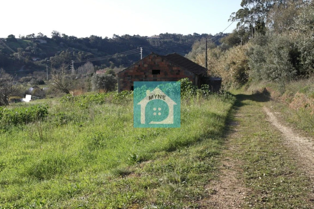 Terreno para Venda em Santa Catarina Foto 11