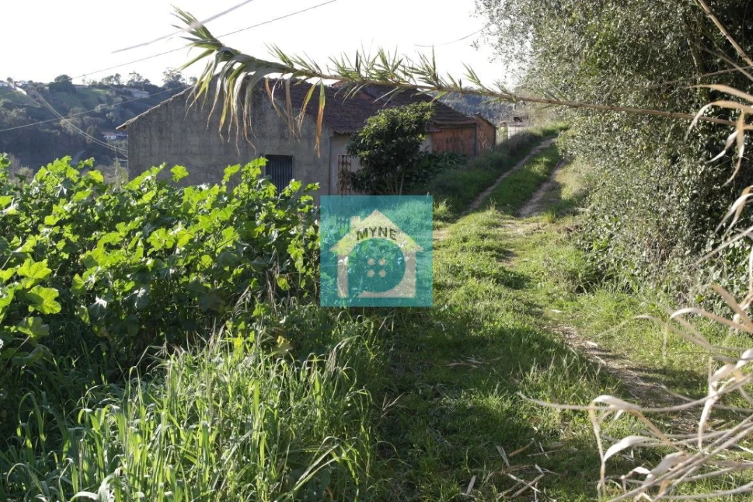 Terreno para Venda em Santa Catarina Foto 14