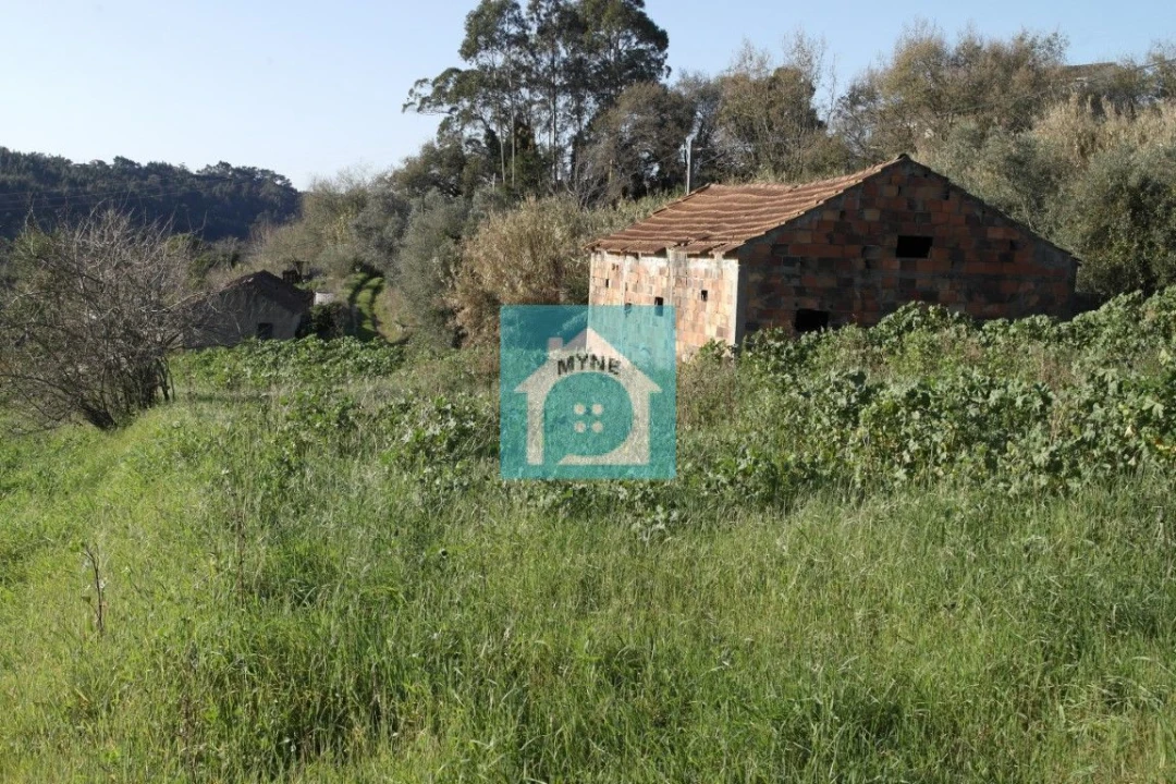 Terreno para Venda em Santa Catarina Foto 4