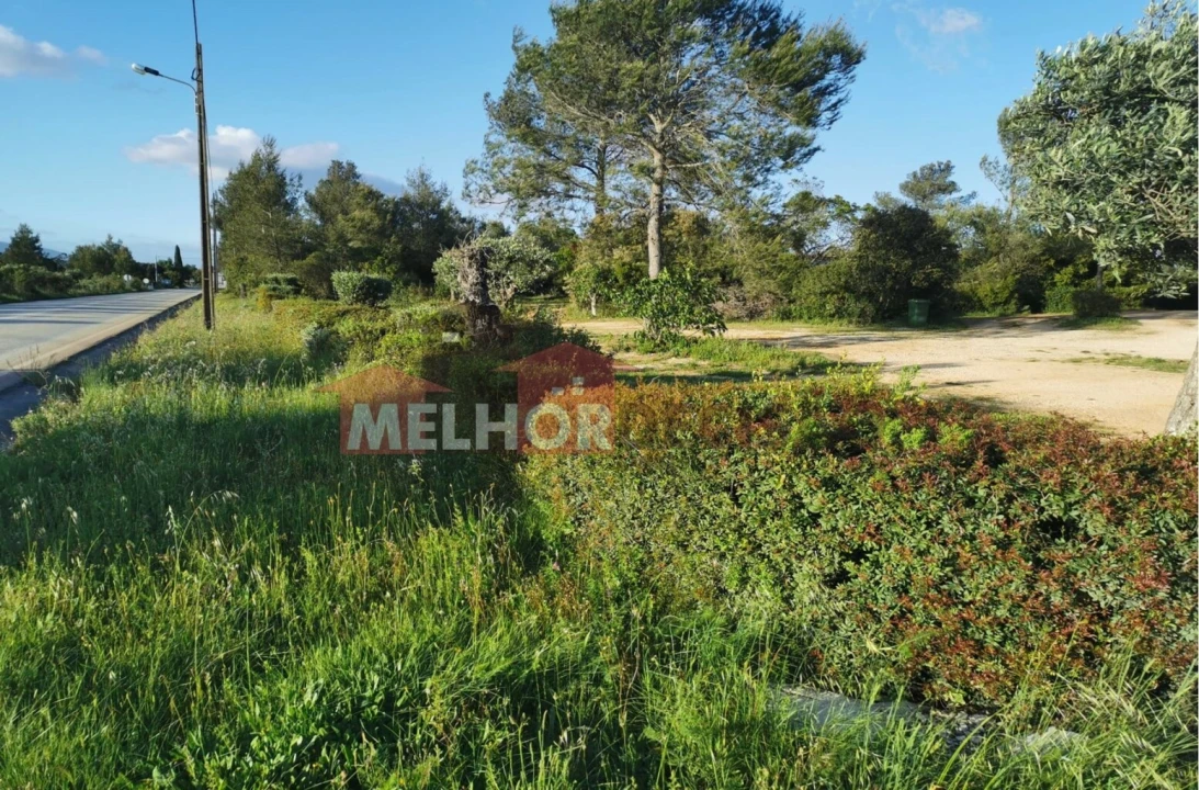 Terreno para Venda em Casével e Vaqueiros Foto 2