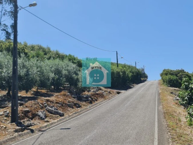 Terreno para Venda em Evora de Alcobaça Foto 12
