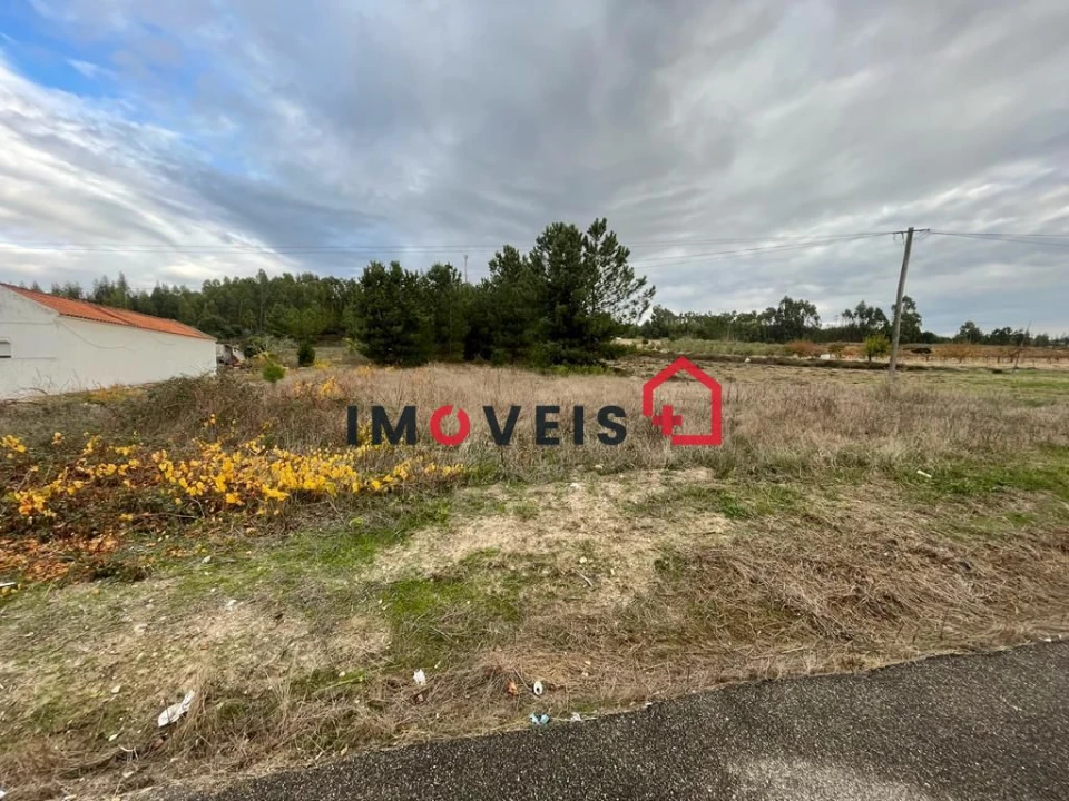 Terreno para Venda em Fazendas de Almeirim Foto 1