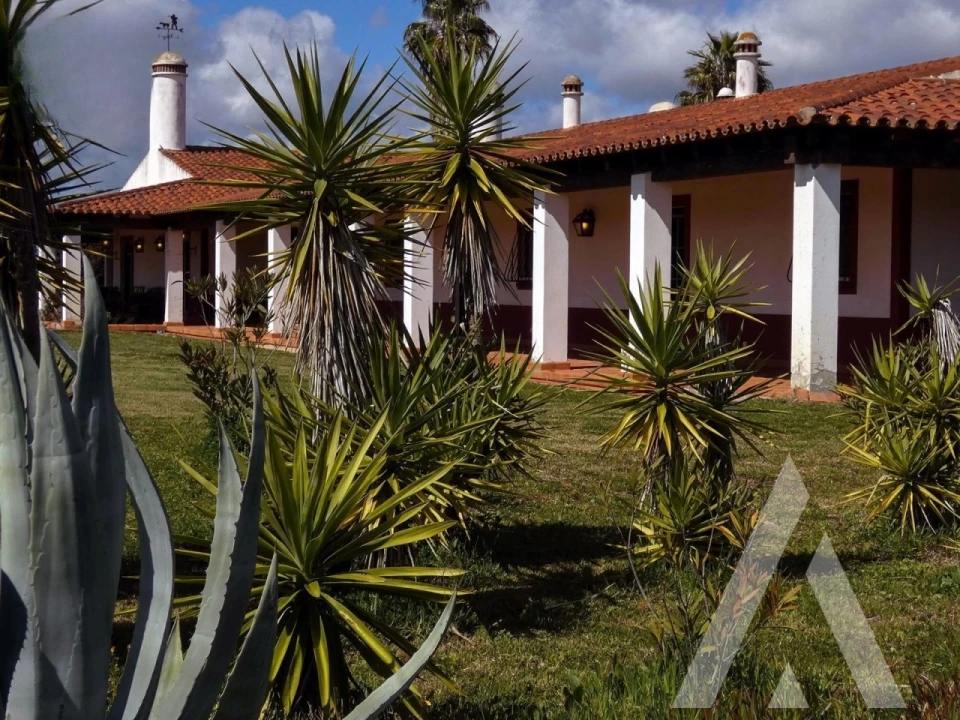 Quinta T3 para Venda em Vila Nova de São Bento e Vale de Vargo Foto 2