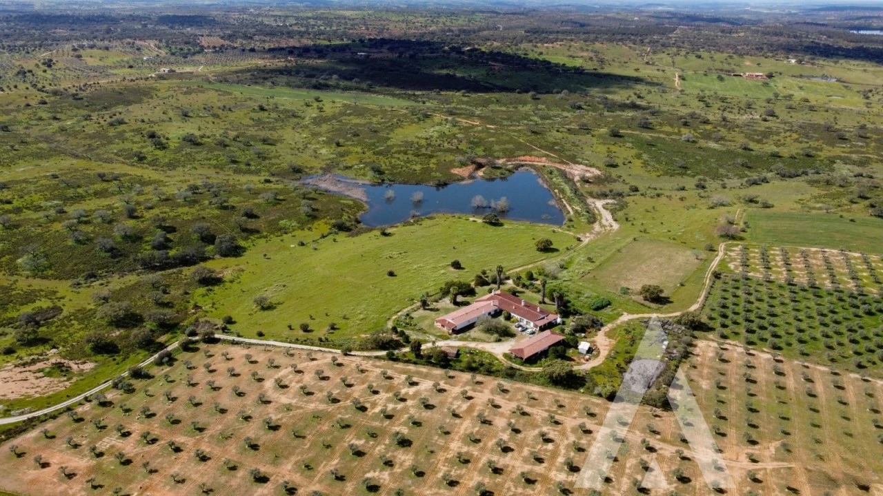 Quinta T3 para Venda em Vila Nova de São Bento e Vale de Vargo Foto 38