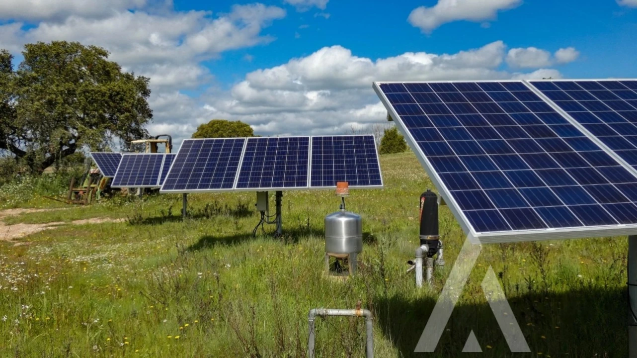 Quinta T3 para Venda em Vila Nova de São Bento e Vale de Vargo Foto 37