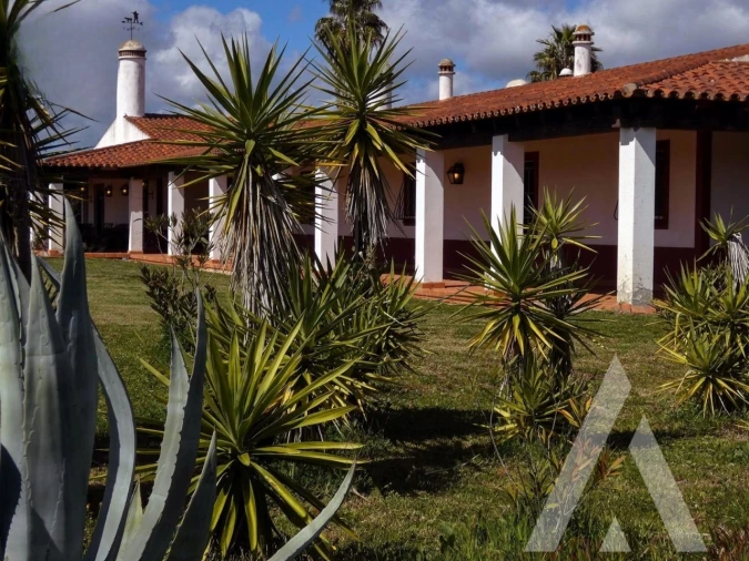 Quinta T3 para Venda em Vila Nova de São Bento e Vale de Vargo Foto 2