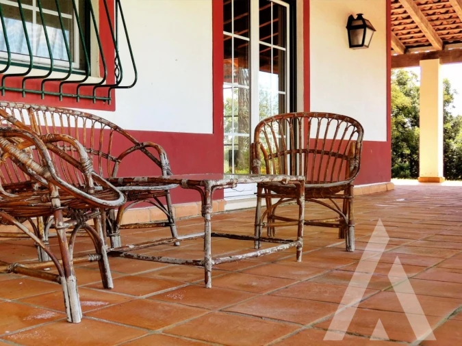 Quinta T3 para Venda em Vila Nova de São Bento e Vale de Vargo Foto 29