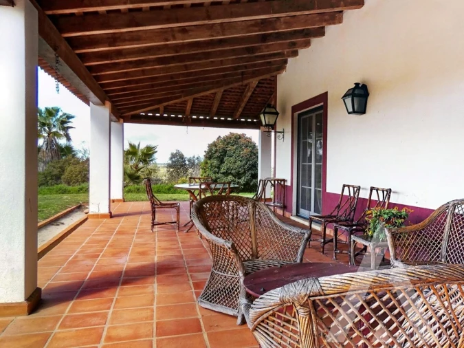 Quinta T3 para Venda em Vila Nova de São Bento e Vale de Vargo Foto 30