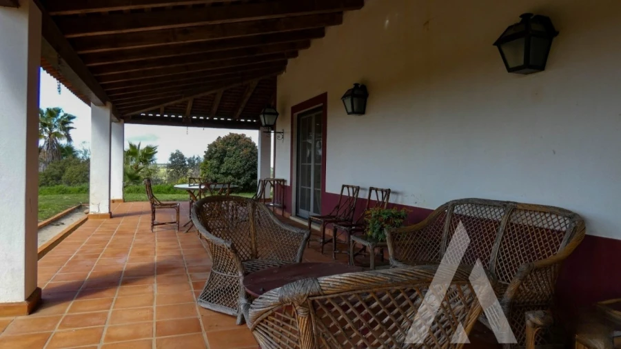 Quinta T3 para Venda em Vila Nova de São Bento e Vale de Vargo Foto 33