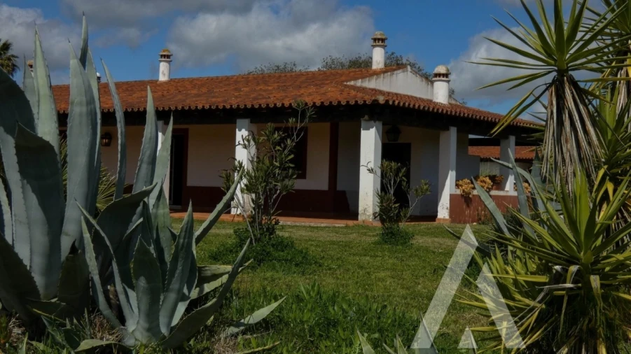 Quinta T3 para Venda em Vila Nova de São Bento e Vale de Vargo Foto 3
