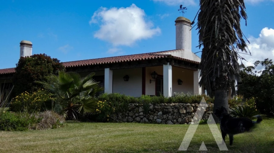Quinta T3 para Venda em Vila Nova de São Bento e Vale de Vargo Foto 4