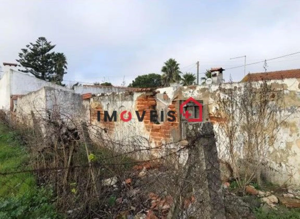 Terreno para Venda em Fazendas de Almeirim Foto 5