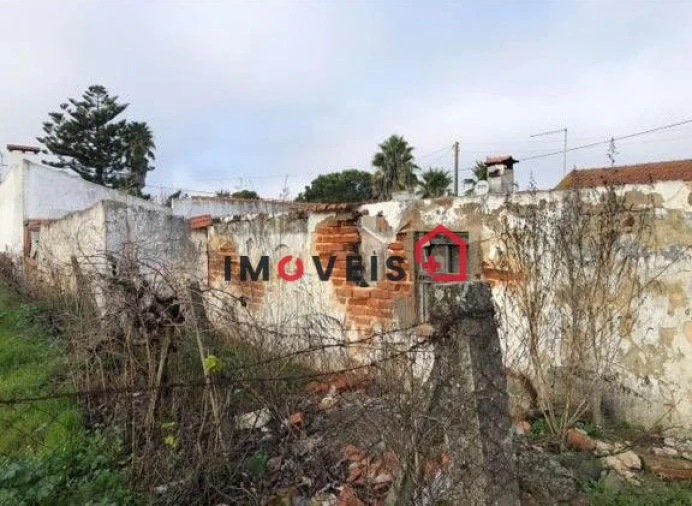 Terreno para Venda em Fazendas de Almeirim Foto 5