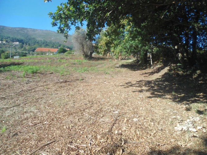 Terreno para Venda em Candemil e Gondar Foto 2