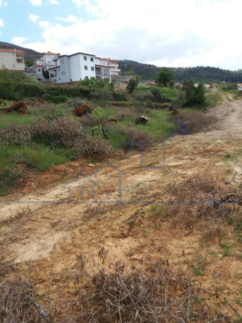 Terreno para Venda em Torre de Moncorvo