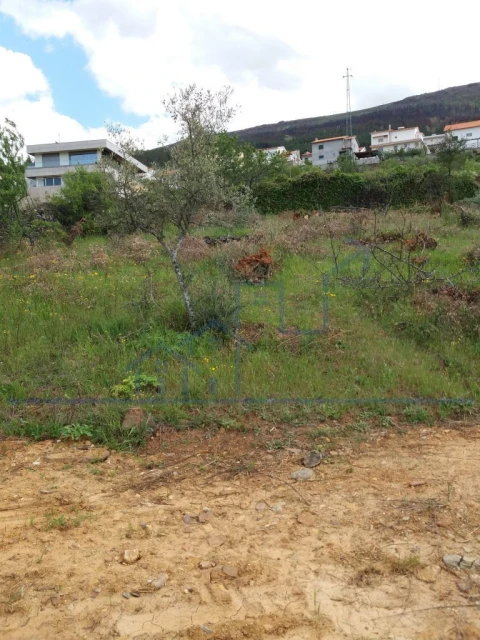 Terreno para Venda em Torre de Moncorvo
