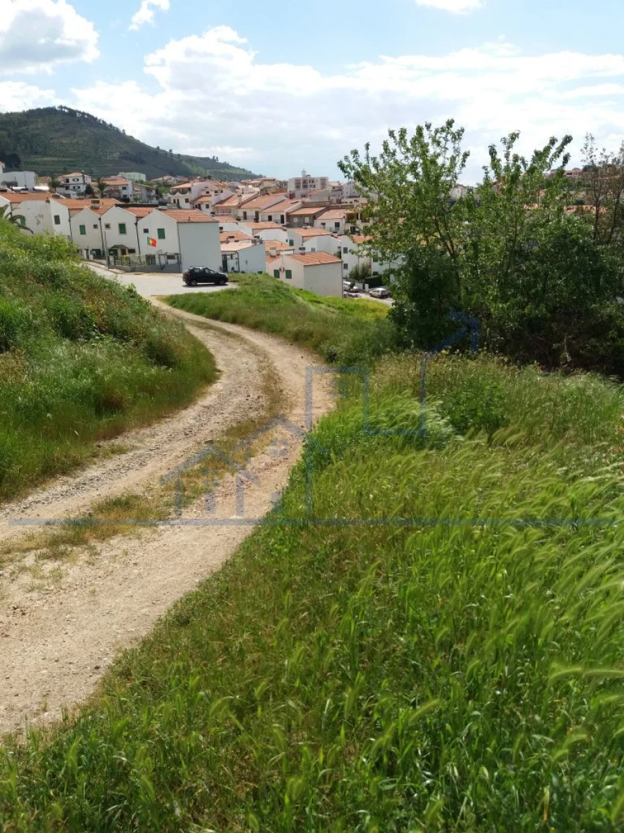 Terreno para Venda em Torre de Moncorvo Foto 6