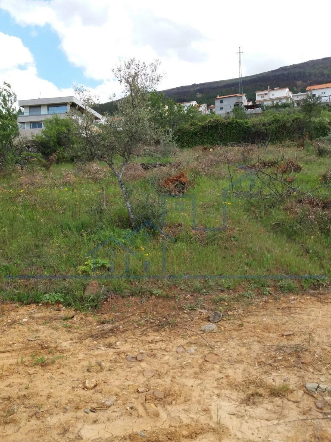 Terreno para Venda em Torre de Moncorvo Foto 3