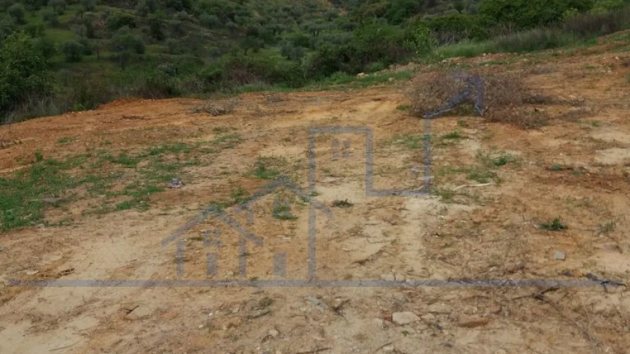 Terreno para Venda em Torre de Moncorvo