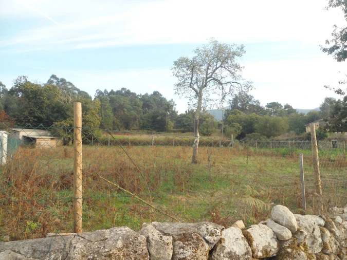 Terreno para Venda em Campos e Vila Meã Foto 1