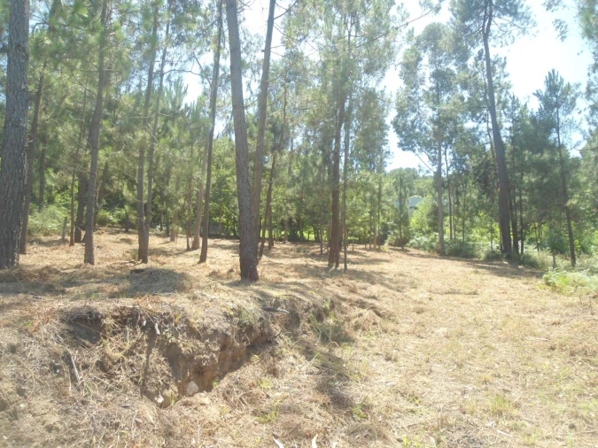 Terreno para Venda em Reboreda e Nogueira Foto 1