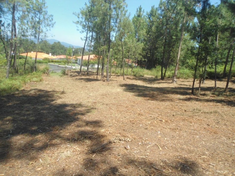 Terreno para Venda em Reboreda e Nogueira Foto 3