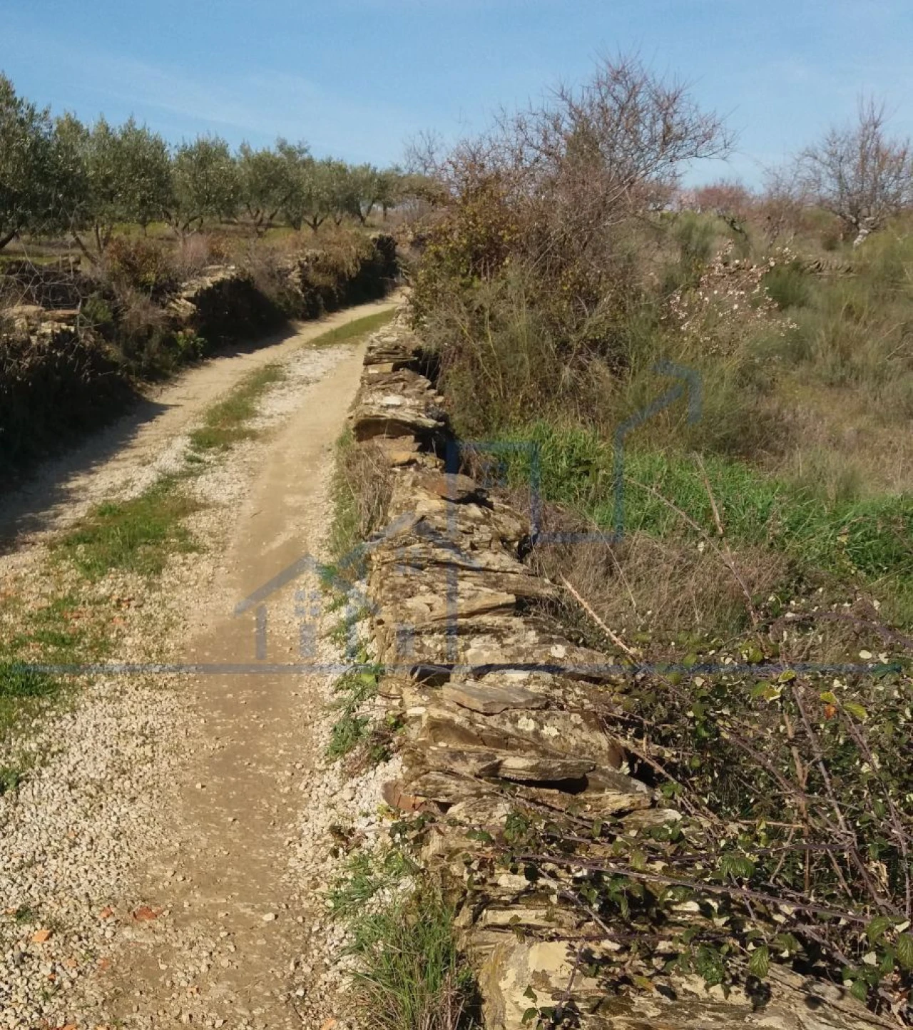 Terreno para Venda em Açoreira Foto 12