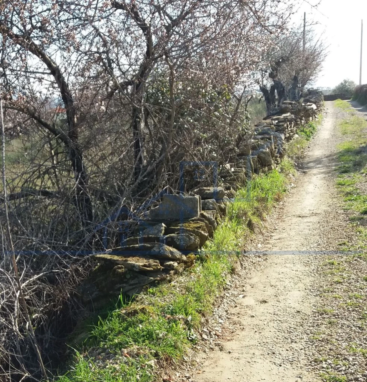 Terreno para Venda em Açoreira Foto 11