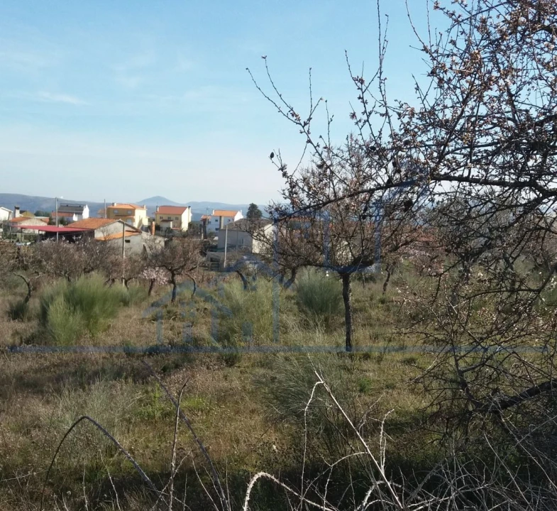 Terreno para Venda em Açoreira Foto 10
