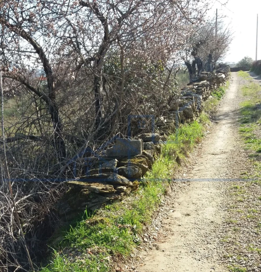 Terreno para Venda em Açoreira Foto 11
