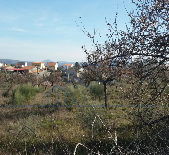 Terreno para Venda em Açoreira Foto 10