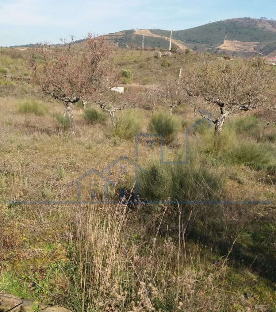 Terreno para Venda em Açoreira Foto 8