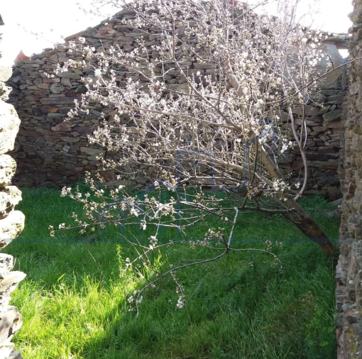 Terreno para Venda em Açoreira Foto 13