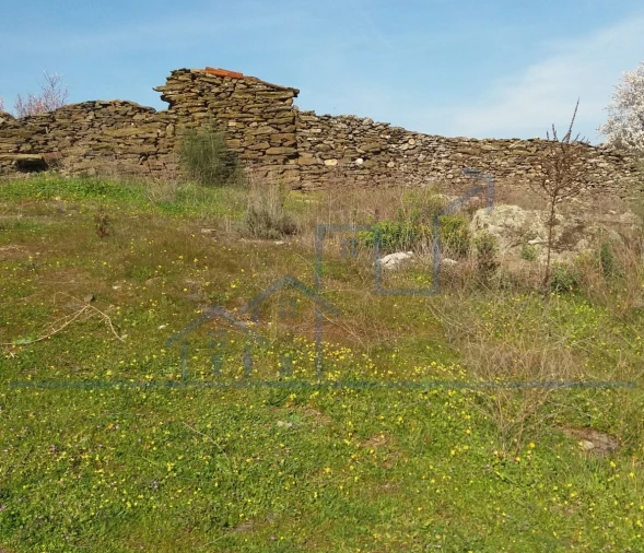 Terreno para Venda em Açoreira Foto 4