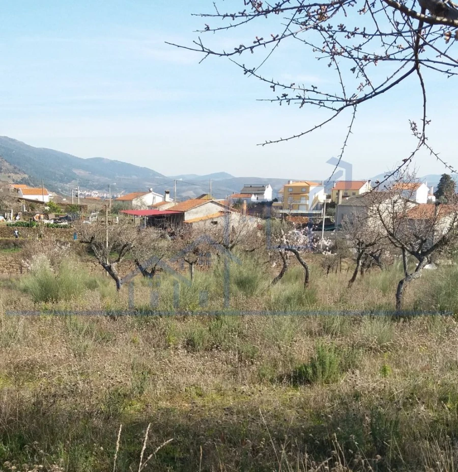 Terreno para Venda em Açoreira Foto 7