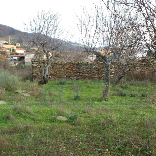 Terreno para Venda em Açoreira Foto 5