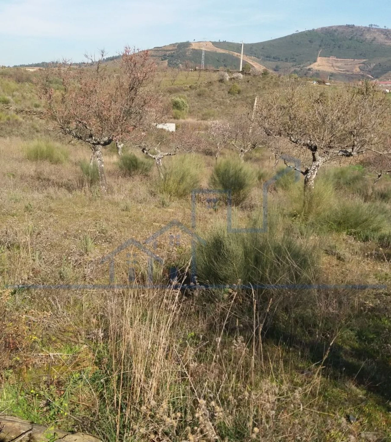 Terreno para Venda em Açoreira Foto 8