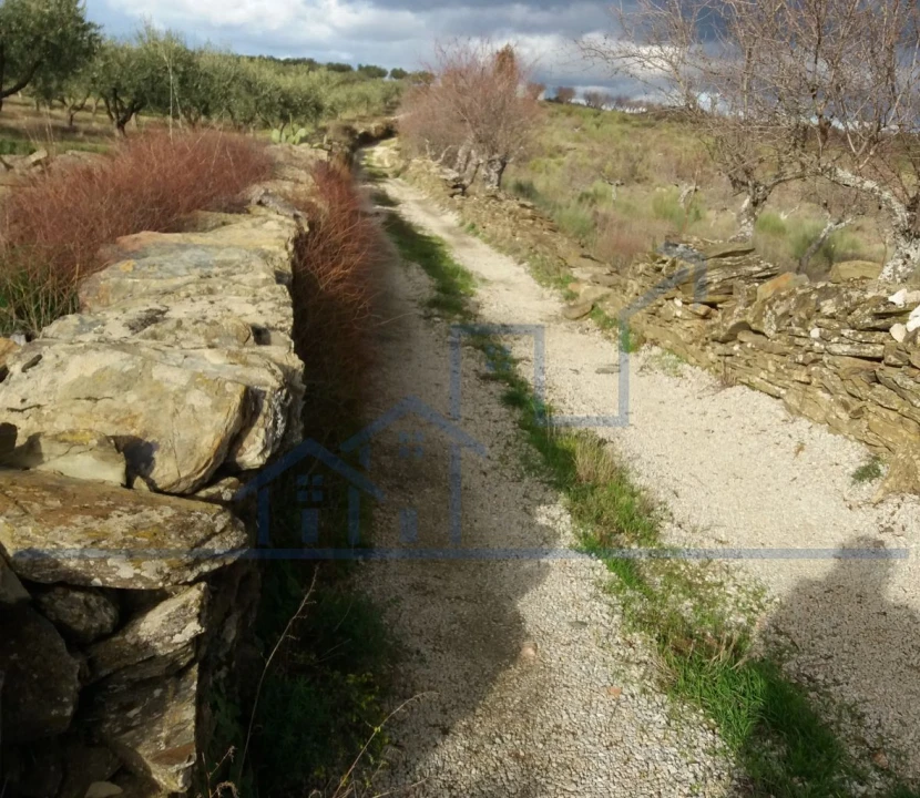 Terreno para Venda em Açoreira Foto 9